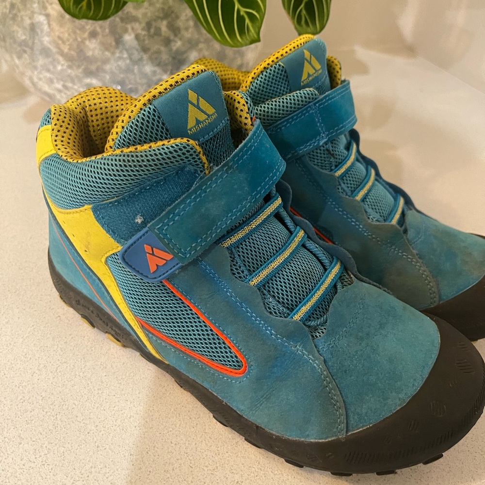 Hiking shoes